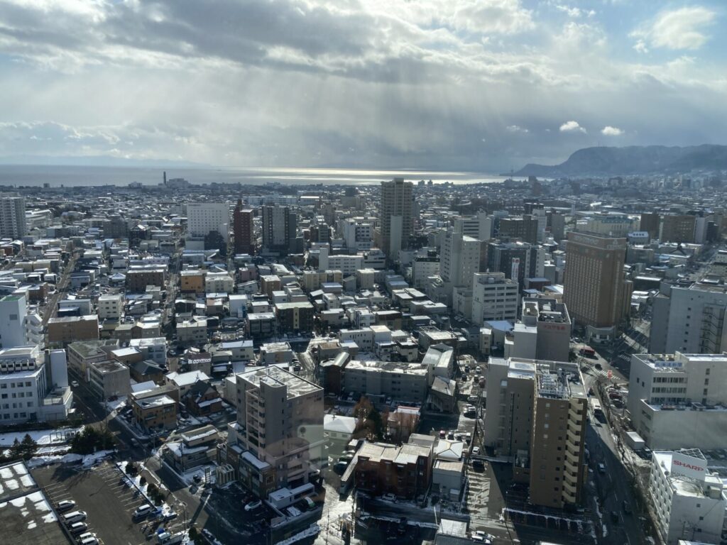 五稜郭タワーからの函館市