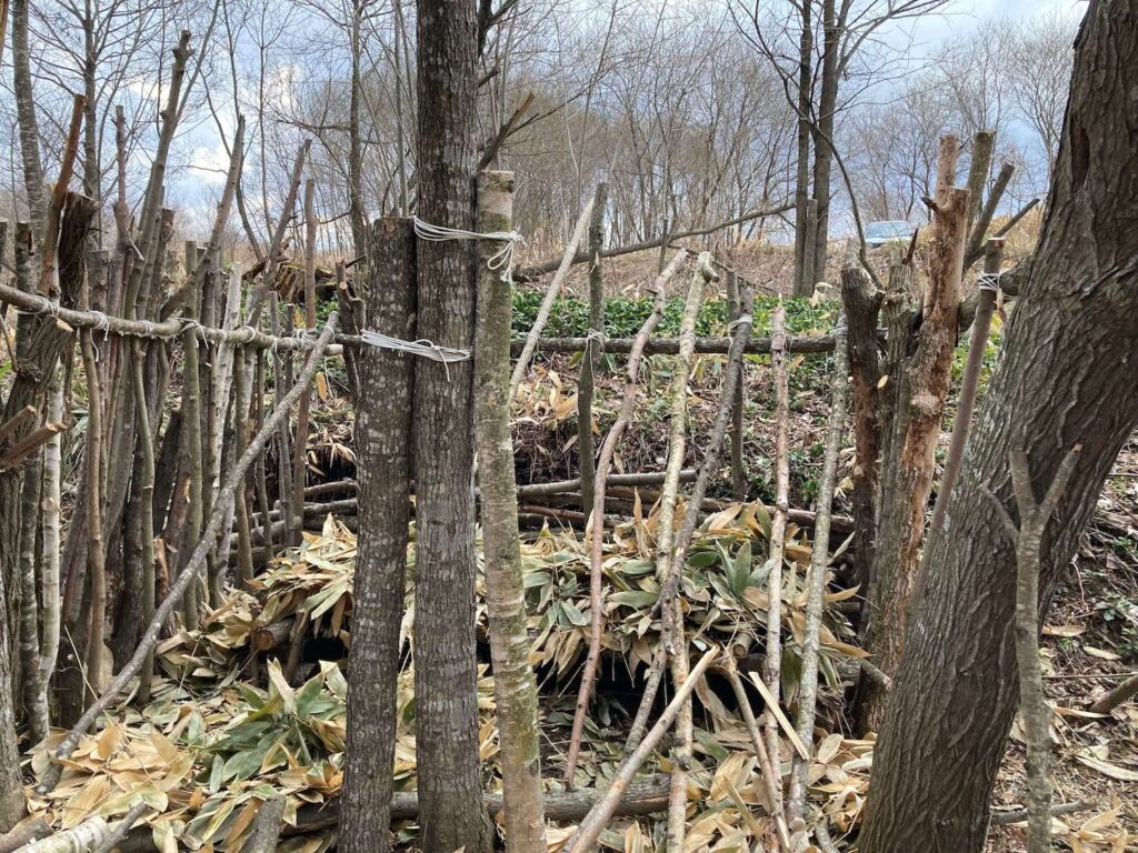 ブッシュクラフト小屋崩壊バージョン