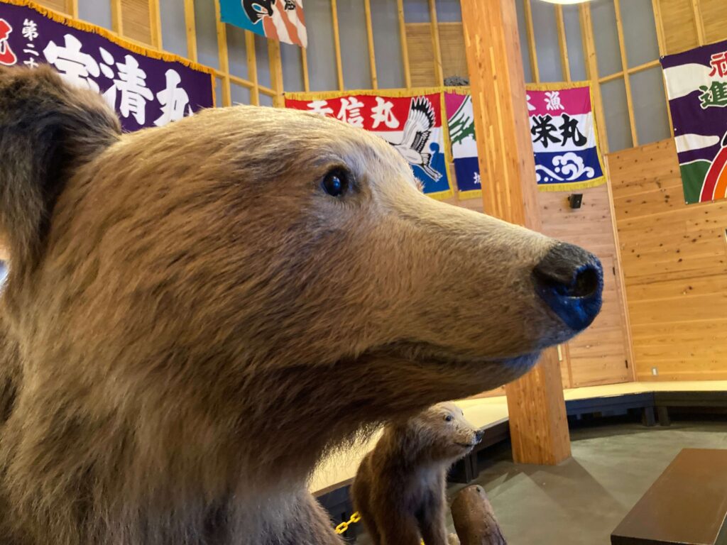 小平町の道の駅展示物