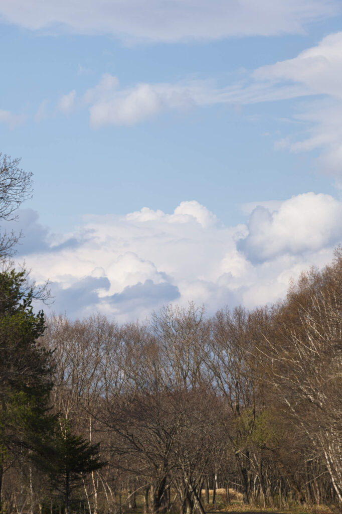 LUMIX S 70-300mmで撮影6