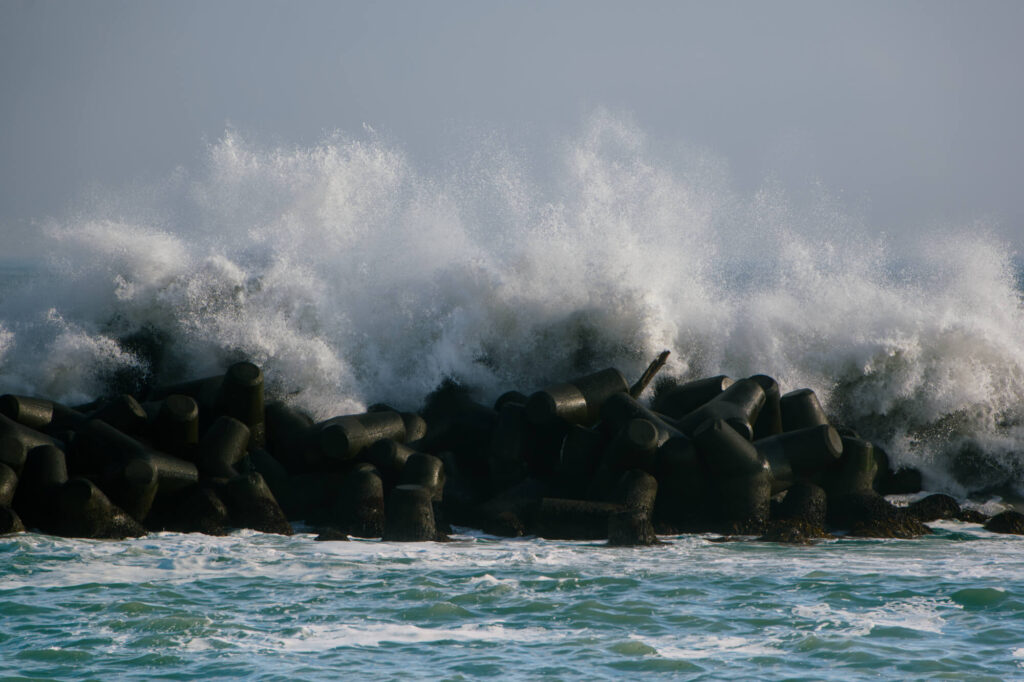 LUMIX S 70-300mmで撮影9