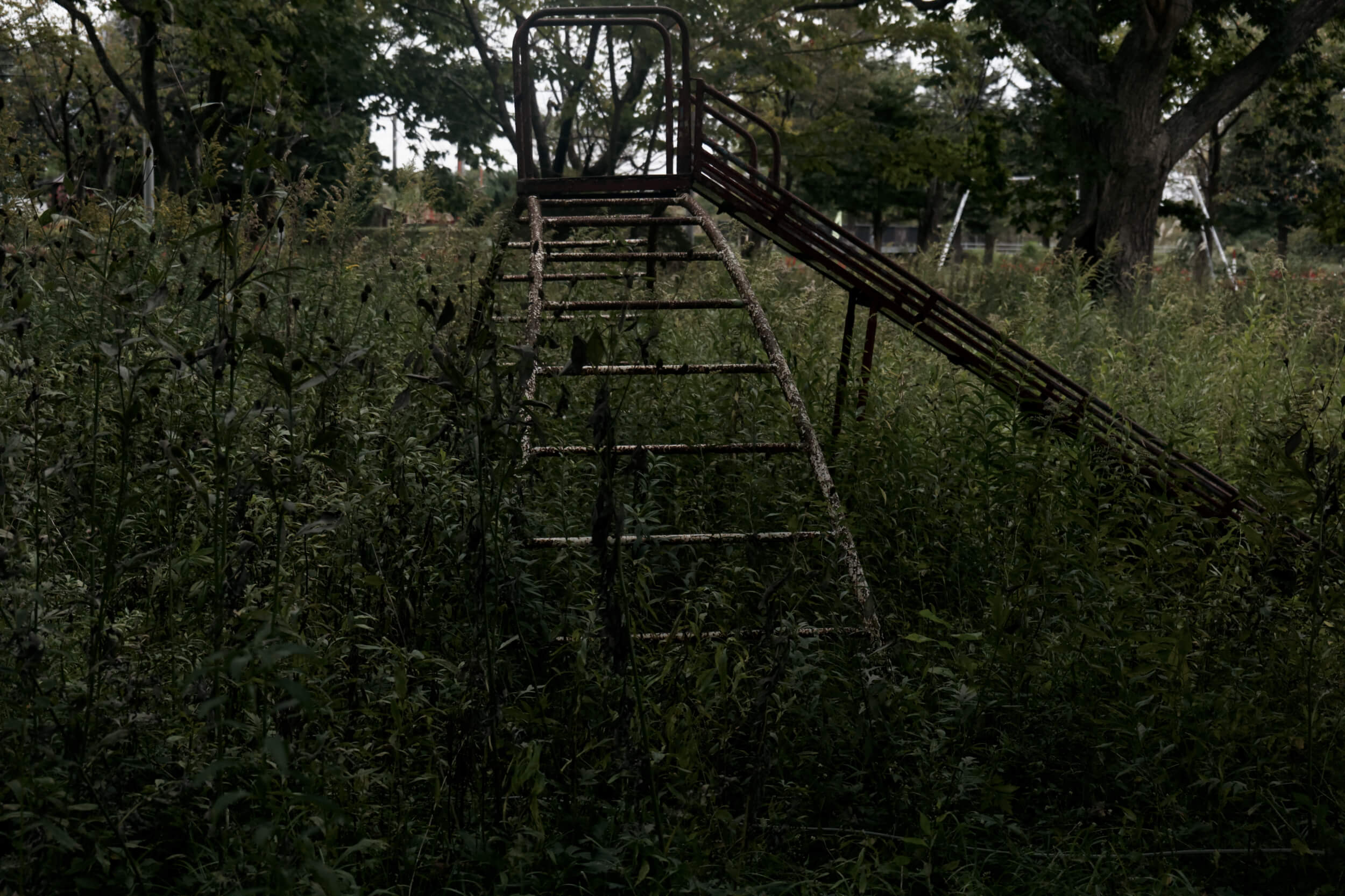 学校校庭の遊具
