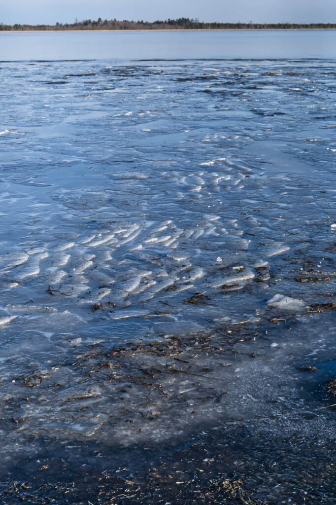 凍結した氷が織りなす氷の鱗